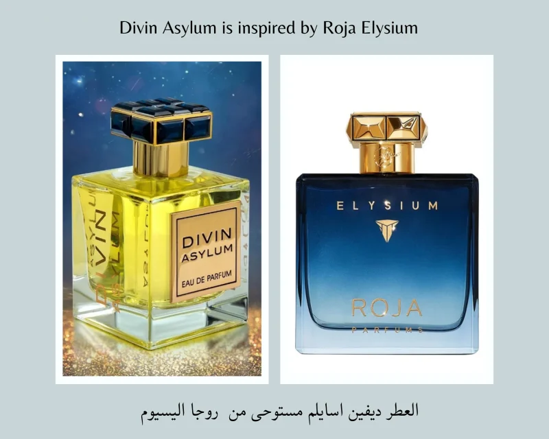 ⁦Divin Asylum ديفين اسيلوم⁩ - الصورة ⁦3⁩